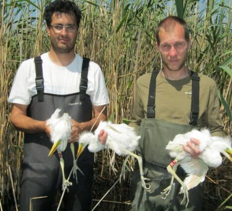 a-telepules-termeszetfoldrajzi-es-biologiai-kornyezete-12