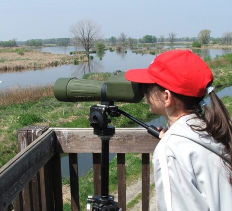 a-telepules-termeszetfoldrajzi-es-biologiai-kornyezete-15