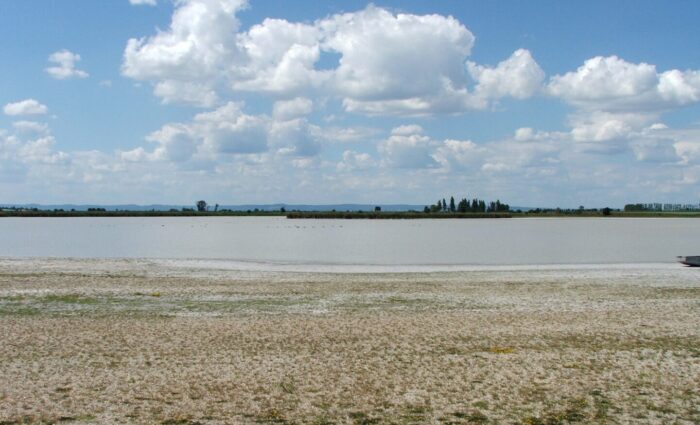 a-telepules-termeszetfoldrajzi-es-biologiai-kornyezete-4