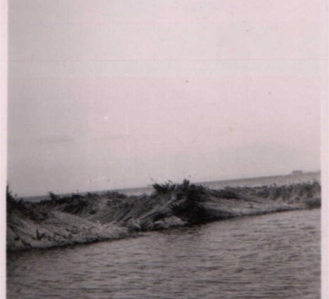 a-telepules-termeszetfoldrajzi-es-biologiai-kornyezete-47