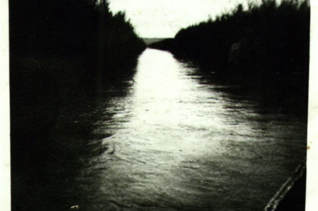 a-telepules-termeszetfoldrajzi-es-biologiai-kornyezete-49