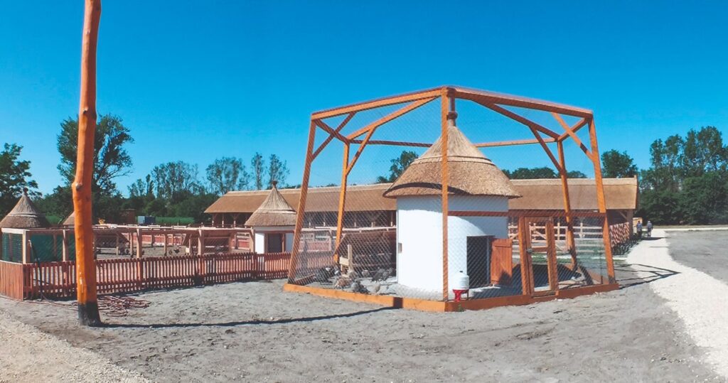 a-telepules-termeszetfoldrajzi-es-biologiai-kornyezete-9